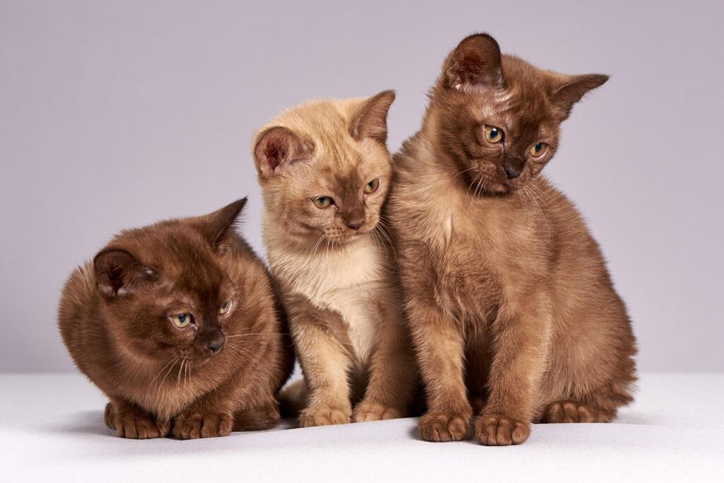 部屋探しの内見で押さえておくべきポイントは？