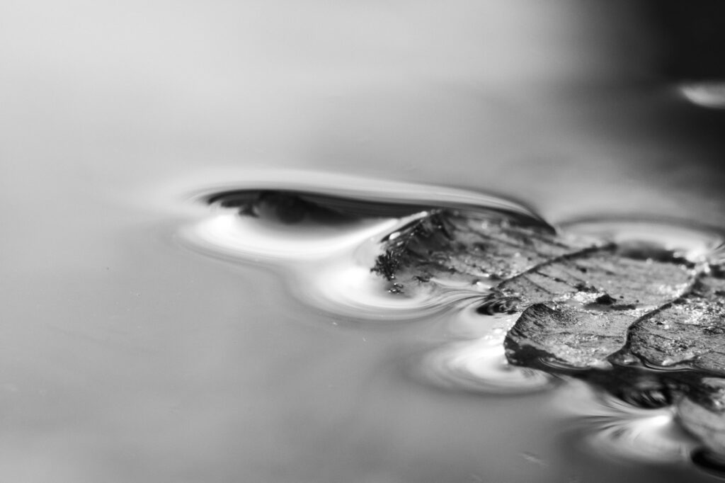 一人暮らしでの水漏れの原因と対策は何ですか？
