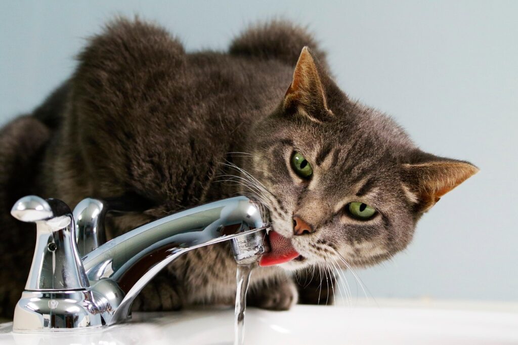 一人暮らしの水道代を安くする方法は？