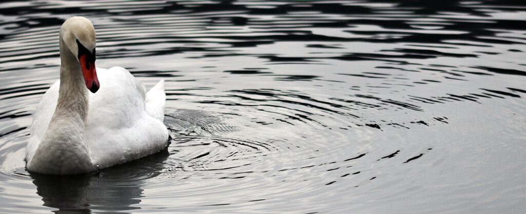 味噌汁の作り置きは一人暮らしにどれほど便利なのか？