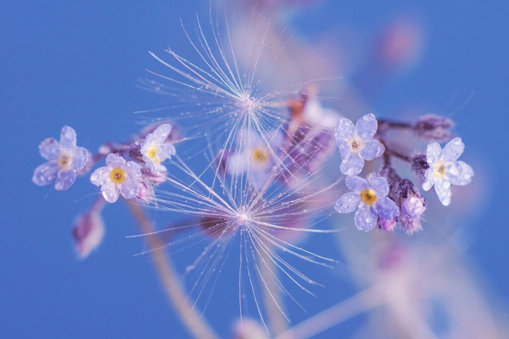 一人暮らしでゴミ出しを忘れないための効果的な対策は？