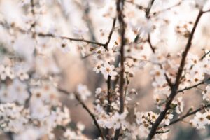 一人暮らしの引っ越しに最適な単身パックは安いのか？
