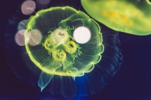 一人暮らしの生活費の平均月額はいくら？
