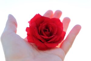 一人暮らしで米炊くのがめんどくさい人必見の解決策は？